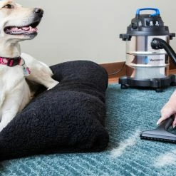 Vacmaster 5 Gallon Stainless Steel Wet/Dry Vac -Cheap Power Tools Store D70AED75 699C 41D1 A232 2FC65BA7AC41 7